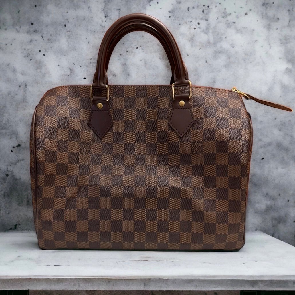 Speedy: Your Perfect Louis Vuitton Companion - Levelux Bag