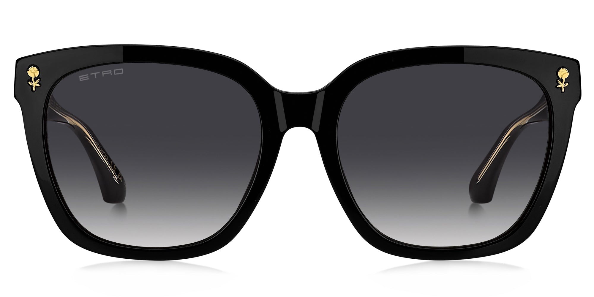 Etro 0065/F/S 807/1I Sunglasses angle