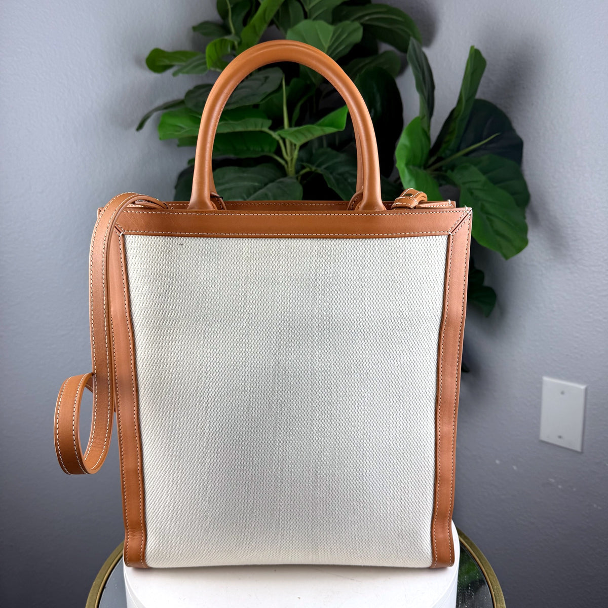 Authentic Celine Medium Cabas Vertical Canvas and Leather Tote Bag - 02_back.jpg