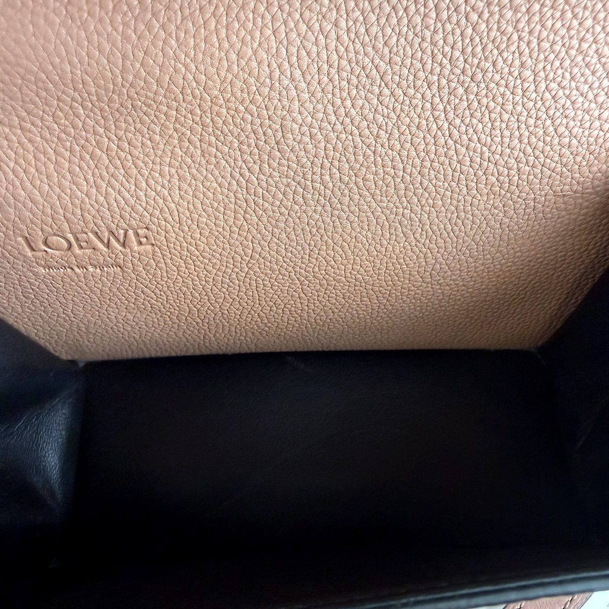 Authentic Loewe Barcelona Small Bag in Blush Pink Grained Leather - 04_inside.jpg