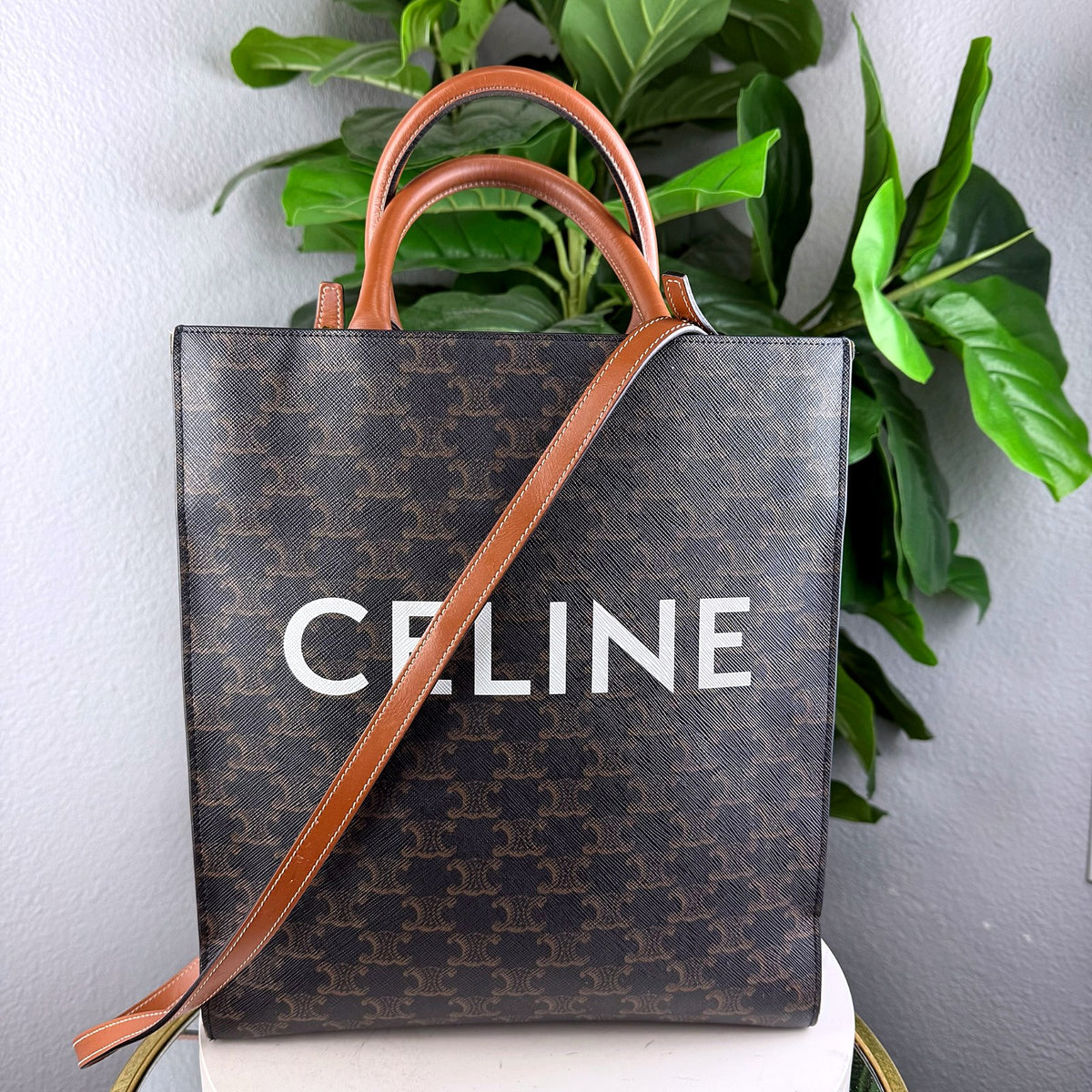 Authentic Celine Triomphe Canvas Small Vertical Cabas Tote in Tan - 01_photo.jpg