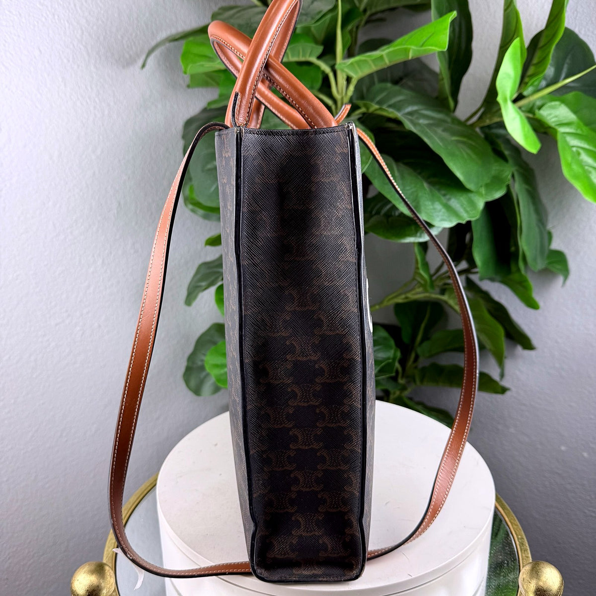 Authentic Celine Triomphe Canvas Small Vertical Cabas Tote in Tan - 02_photo.jpg