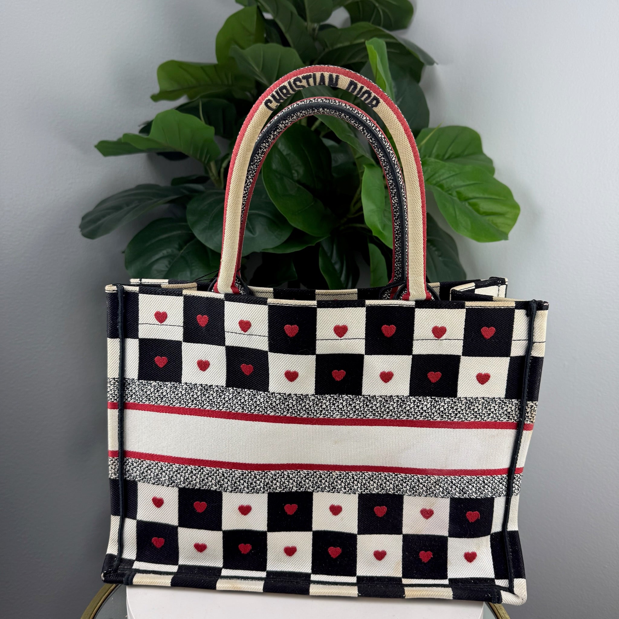 Christian Dior Book Tote Heart Print Canvas Bag