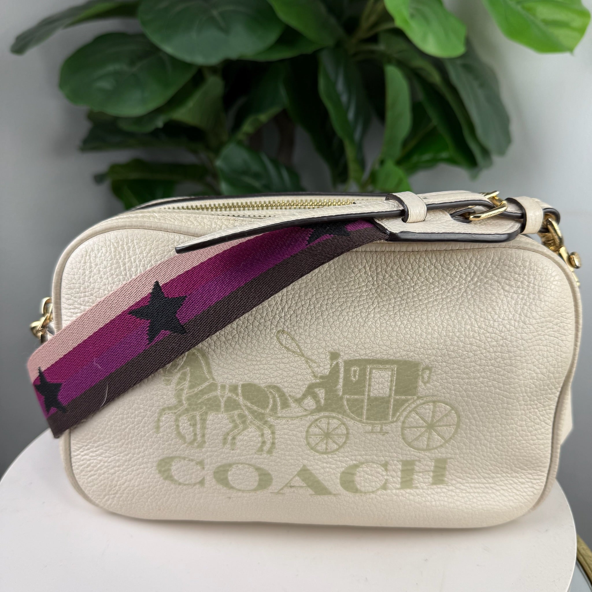 Authentic Coach Horse and Carriage Leather Camera Bag - Cream - front
