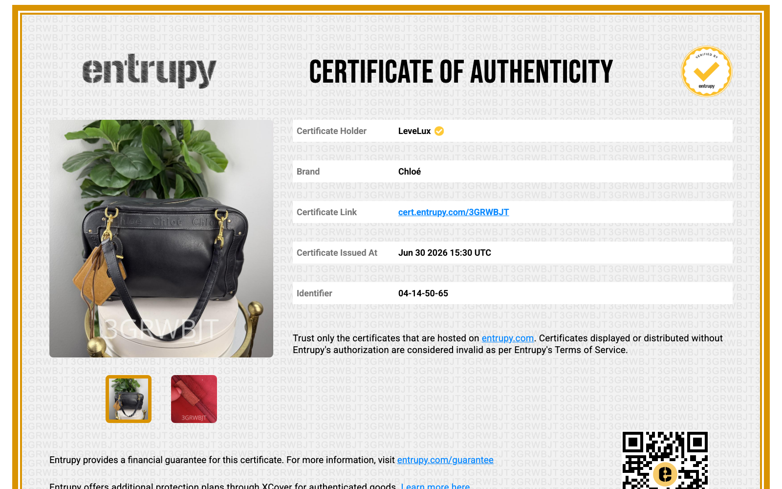 Entrupy Certificate of Authenticity 3GRWBJT