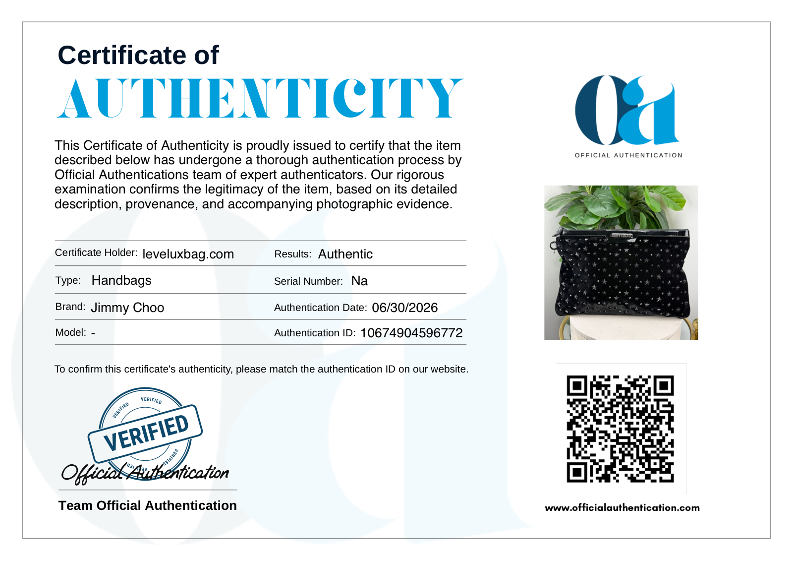 Official Authentication Certificate of Authenticity 10674904596772