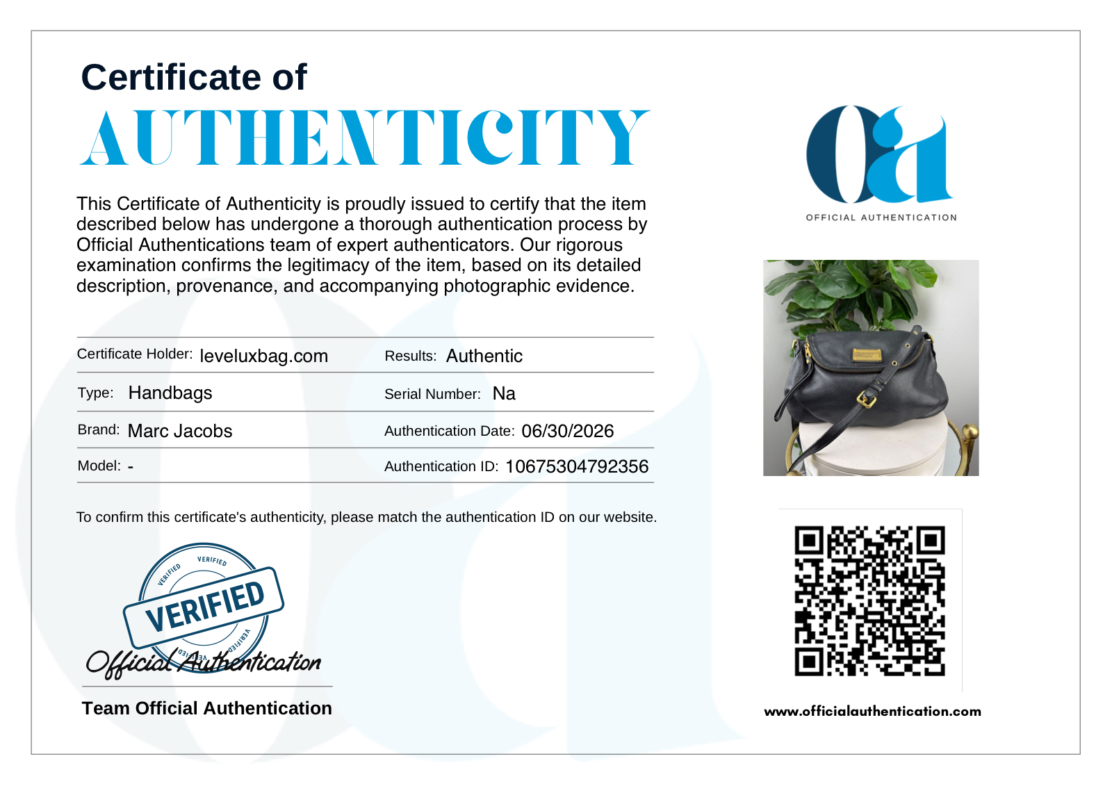 Official Authentication Certificate of Authenticity 10675304792356