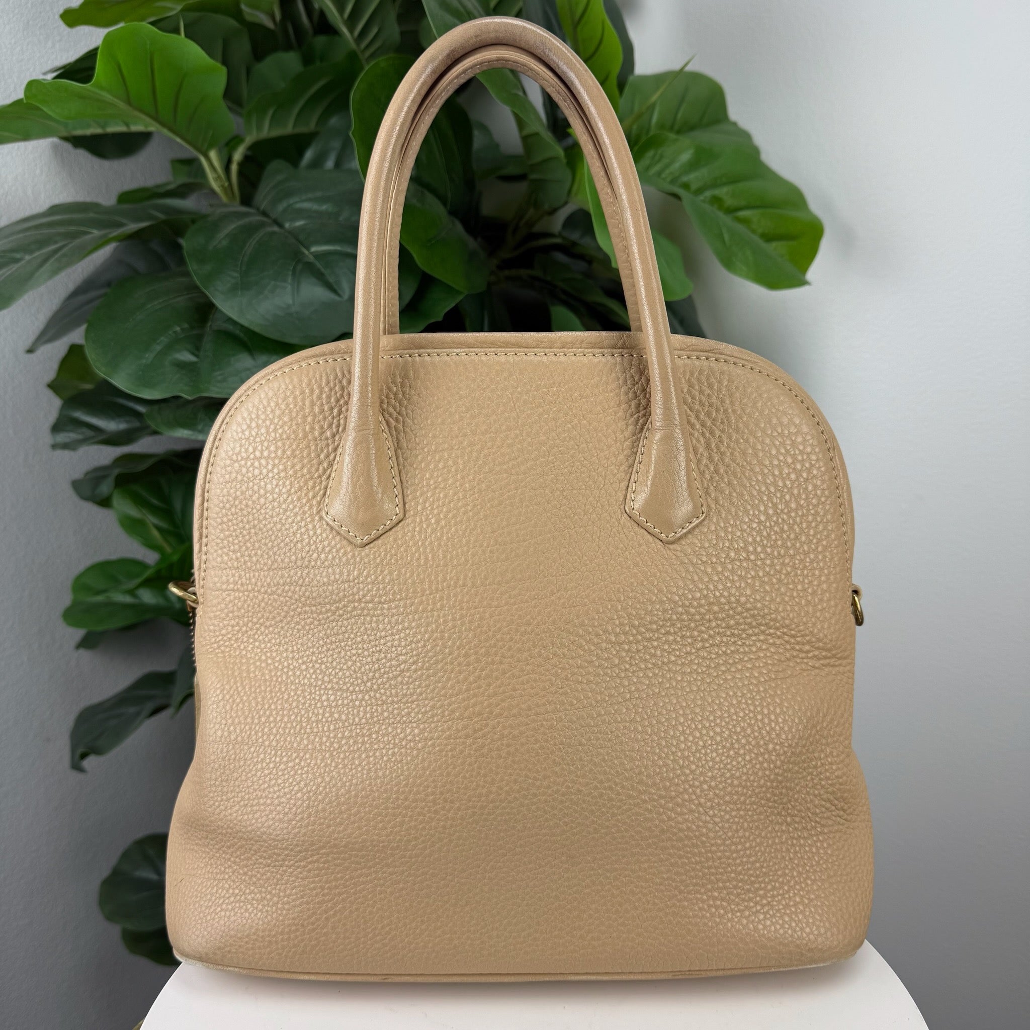 Coach Sonoma satchel - back