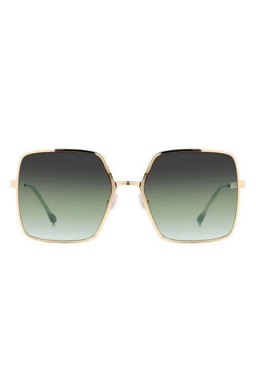 Isabel Marant IM 0102/S PEF Sunglasses angle
