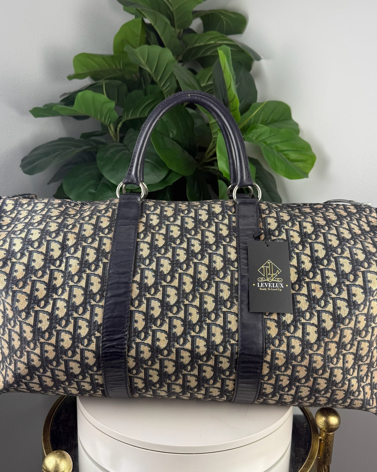 Dior duffle back