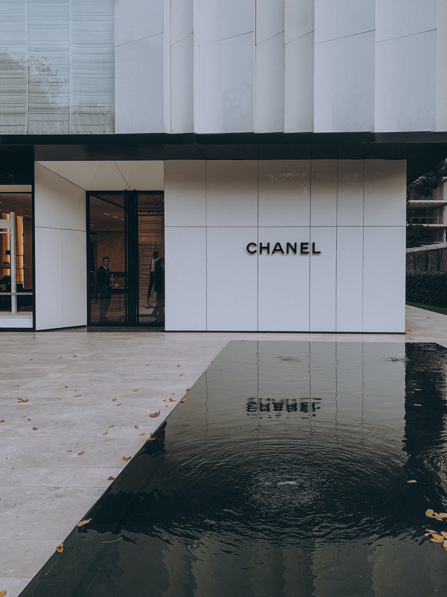 The History of Luxury Handbags: A Timeline - Levelux Bag