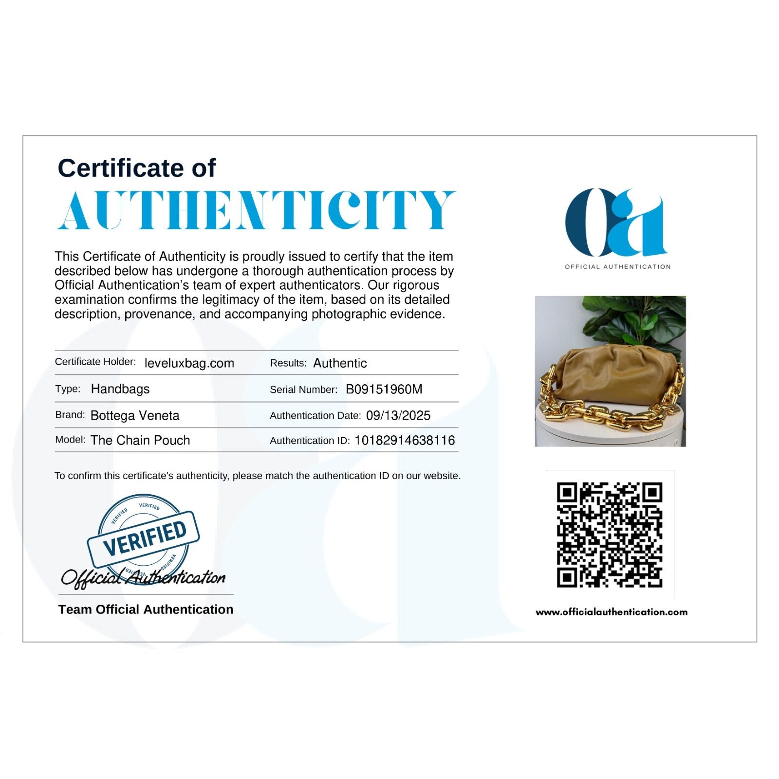 Authentic Bottega Veneta The Chain Pouch