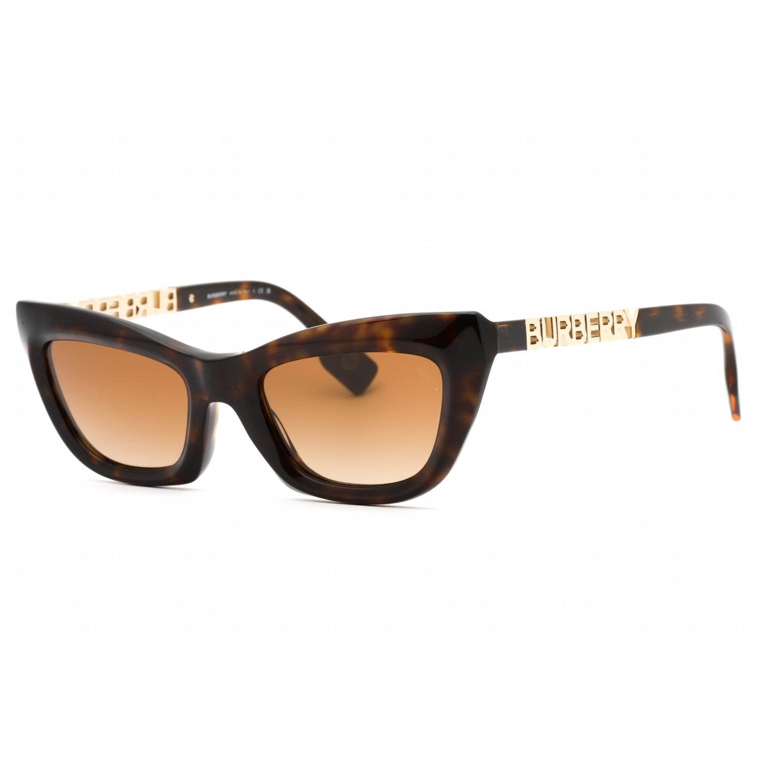 Brandnew Burberry Eyewear Logo lettering-plaque Tinted