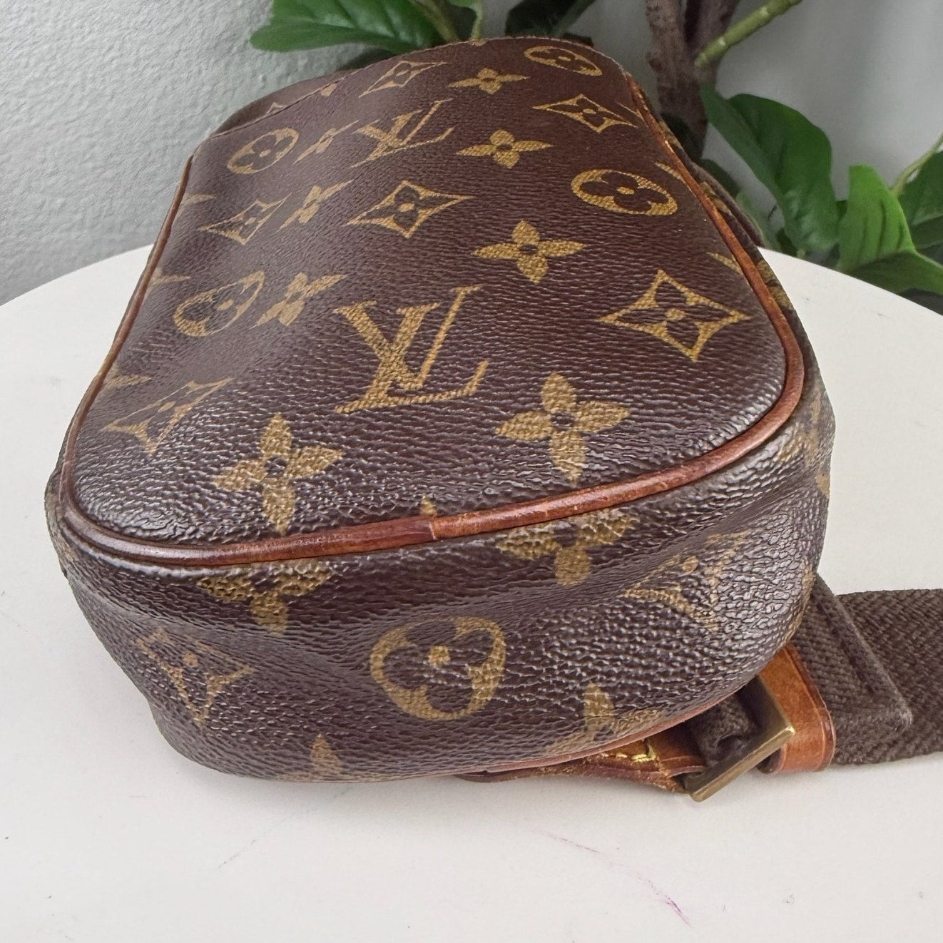 Louis Vuitton Pochette Gange Monogram Canvas