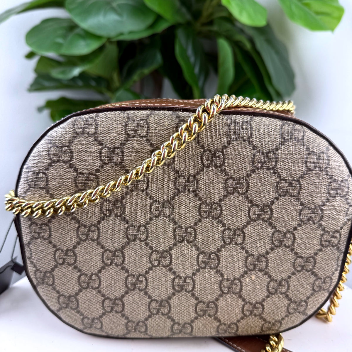 Authentic Gucci GG Supreme Bee Mini Chain Camera Bag - 02_back.jpg
