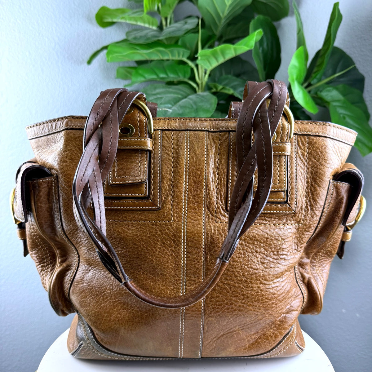 Authentic Coach Soho Lynn Leather Tote Brown Braided Handles - 02_back.jpg