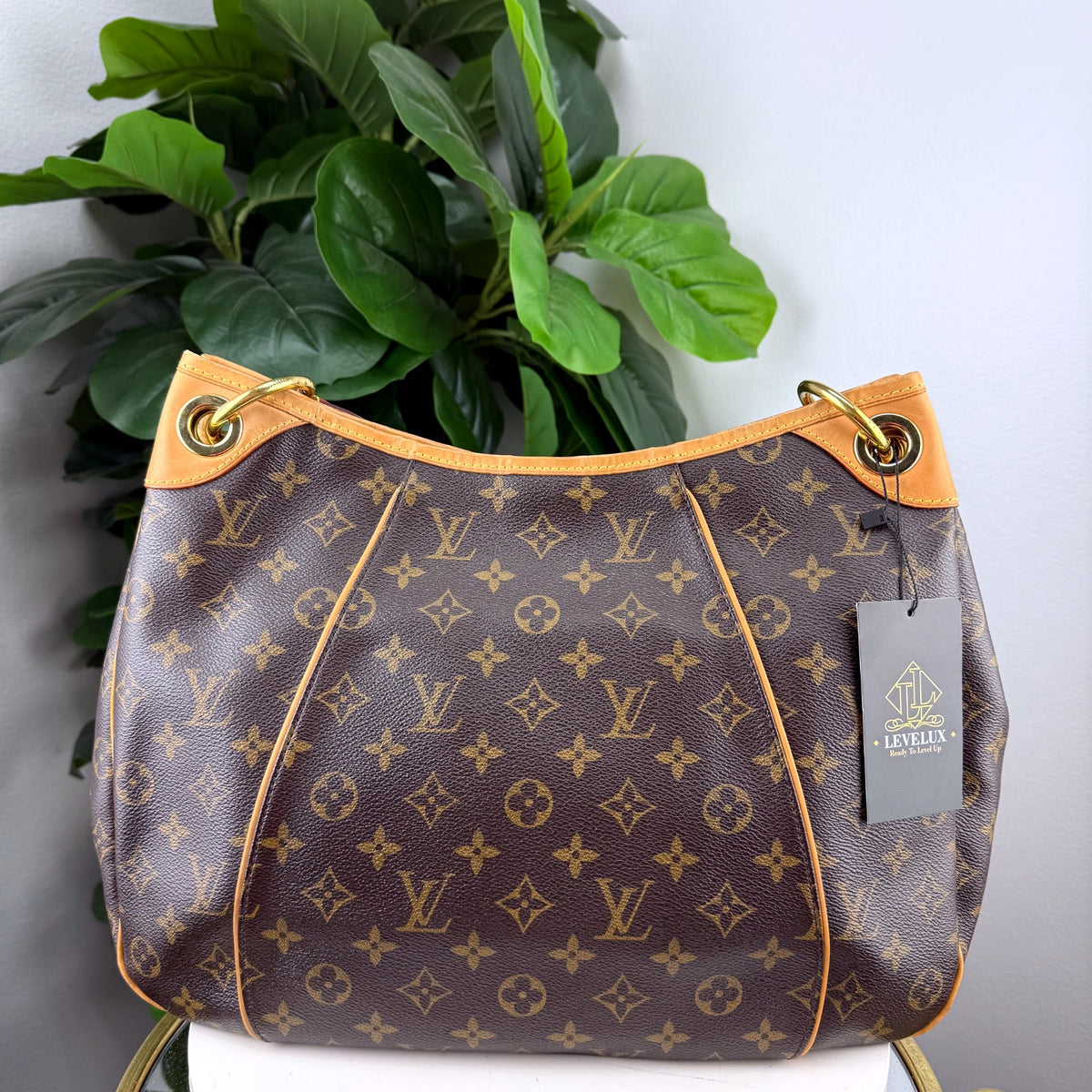 Authentic Louis Vuitton Galliera PM Monogram Canvas Hobo Bag - 02_back.jpg