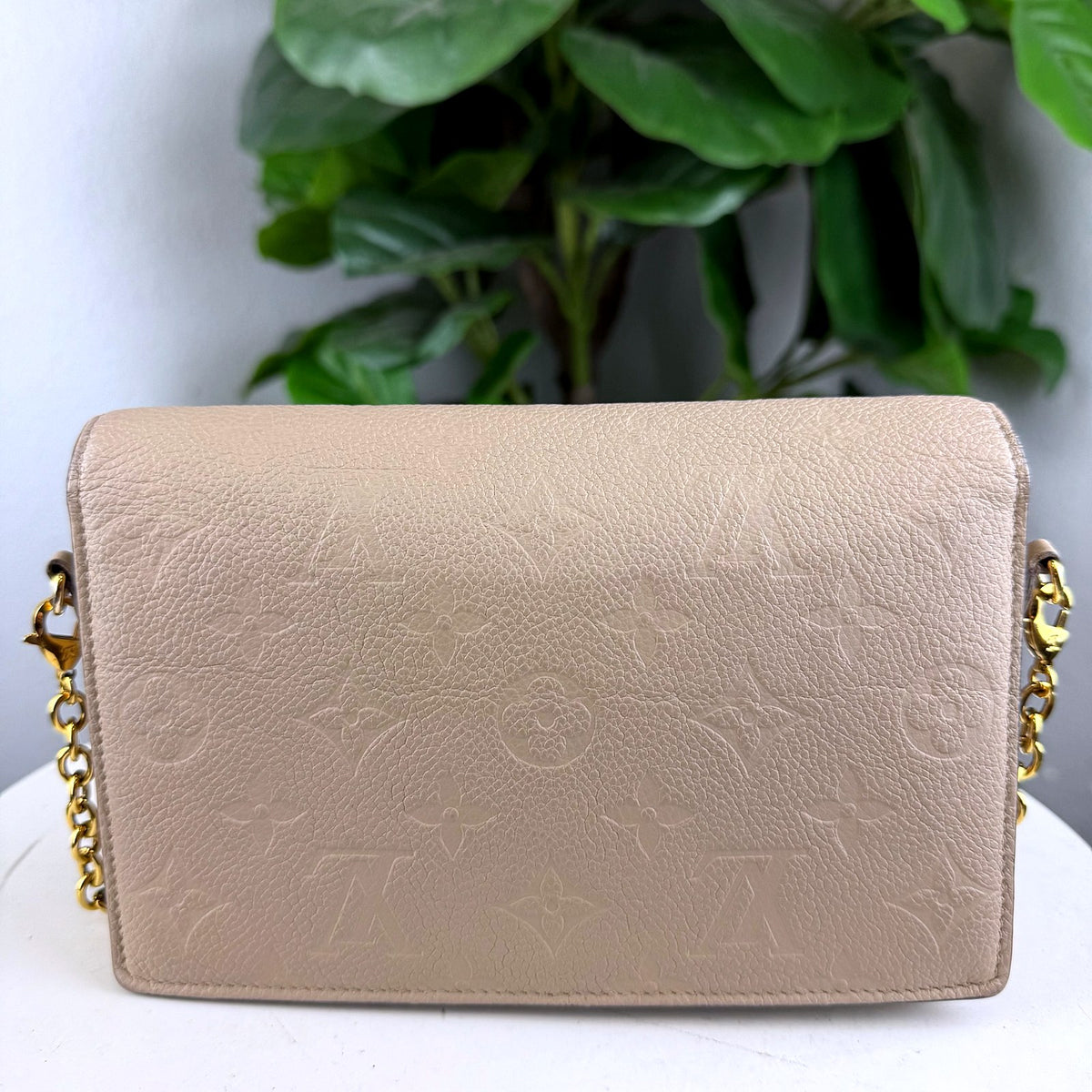 Authentic Louis Vuitton Vavin Chain Wallet Beige Leather Crossbody - 02_photo.jpg