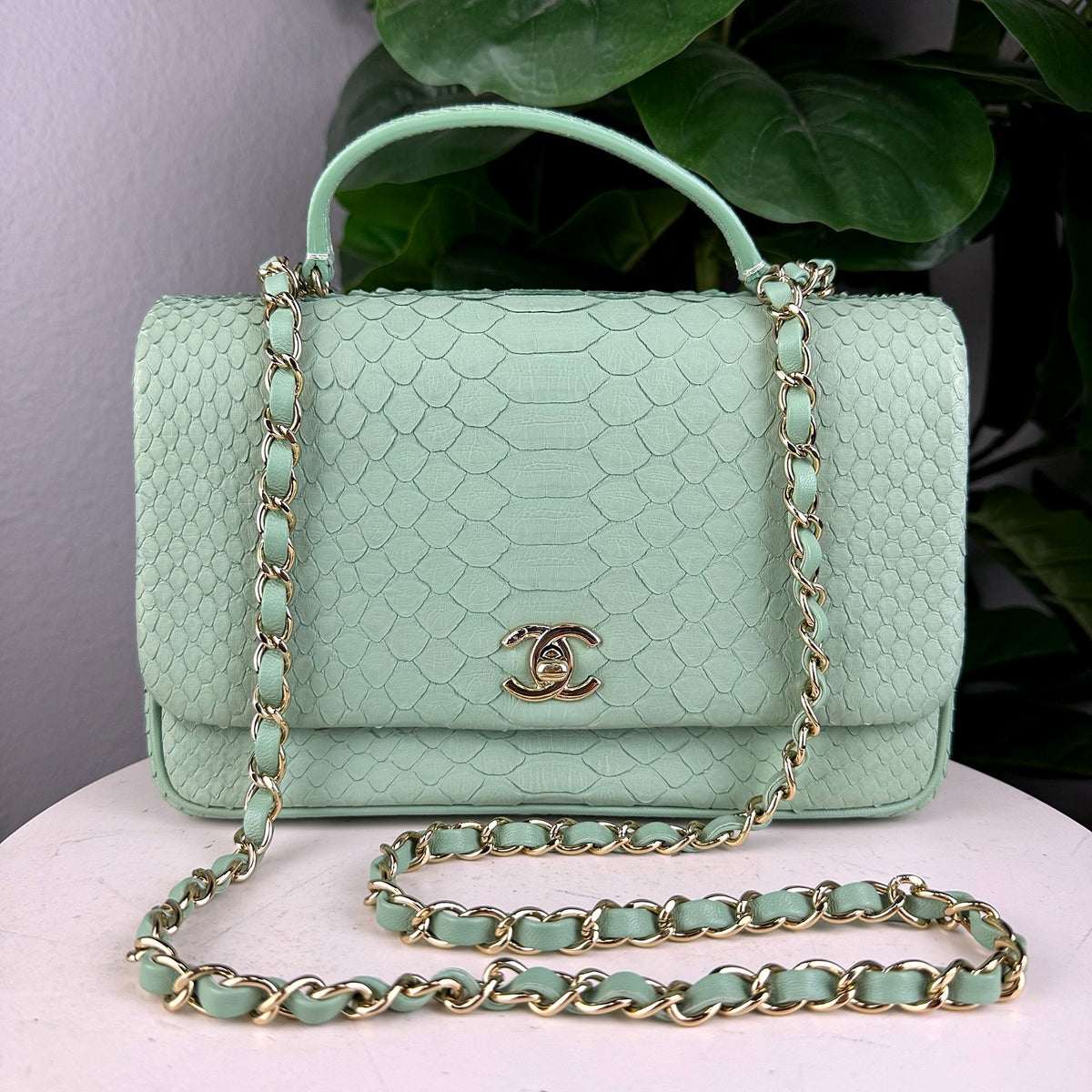 Authentic Chanel Medium Flap Python Light Green Gold Hardware - 01_photo.jpg