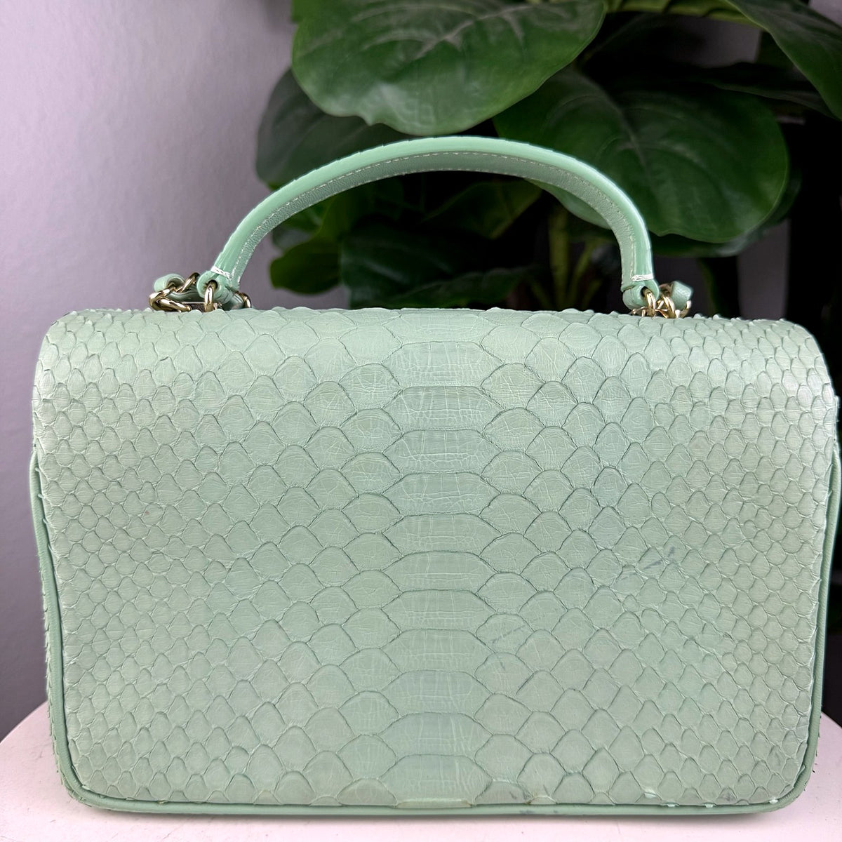 Authentic Chanel Medium Flap Python Light Green Gold Hardware - 02_photo.jpg