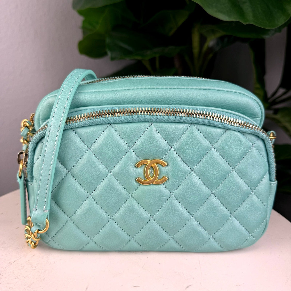 Authentic Chanel Quilted Lambskin Camera Case Bag Mint Green Gold Hardware - 01_photo.jpg