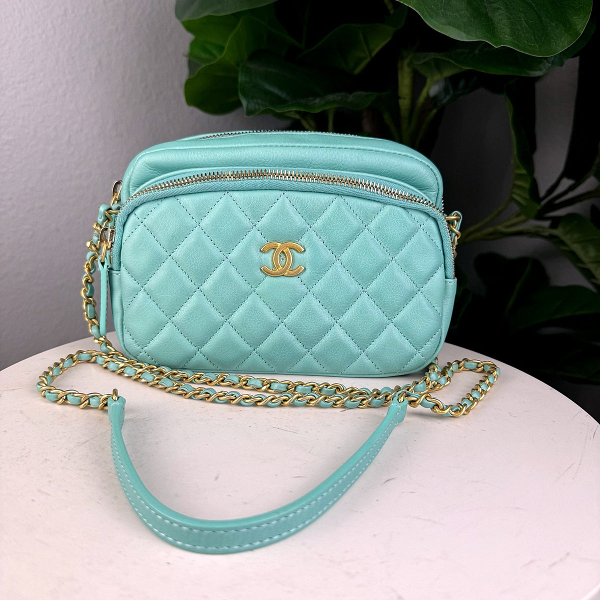 Authentic Chanel Quilted Lambskin Camera Case Bag Mint Green Gold Hardware - 02_photo.jpg