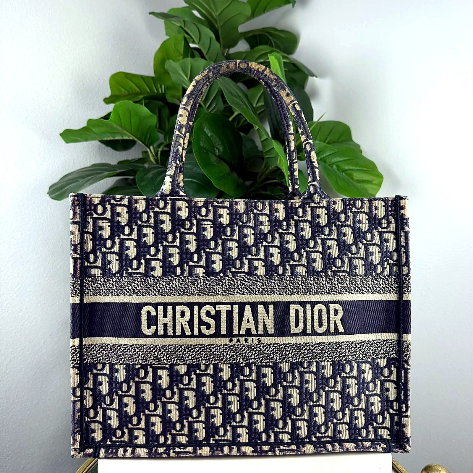 Authentic Christian Dior Book Tote - front view
