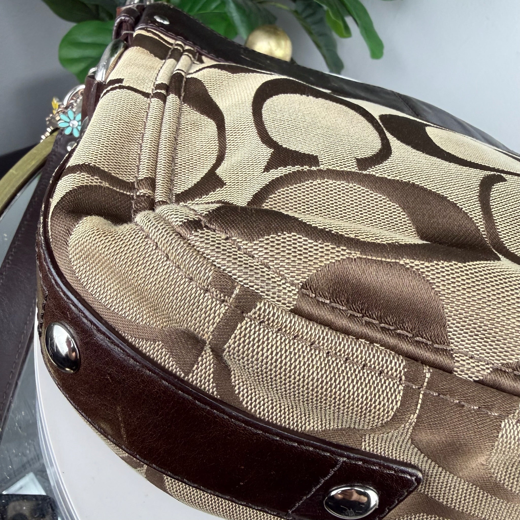 Coach Signature Canvas Hobo Crossbody Bag
