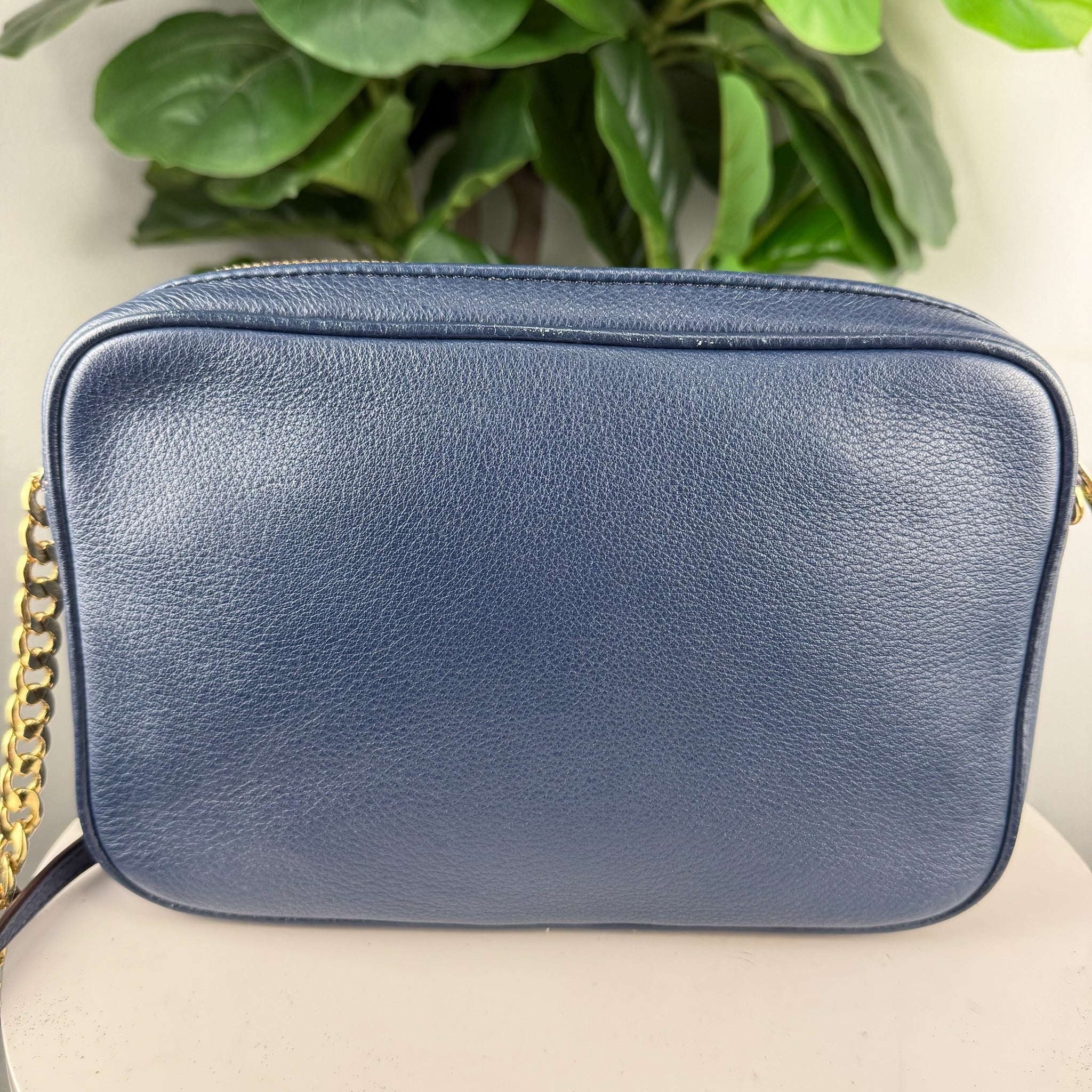 Authentic Michael Kors Jet Set Charm Small Oval Camera Crossbody Bag