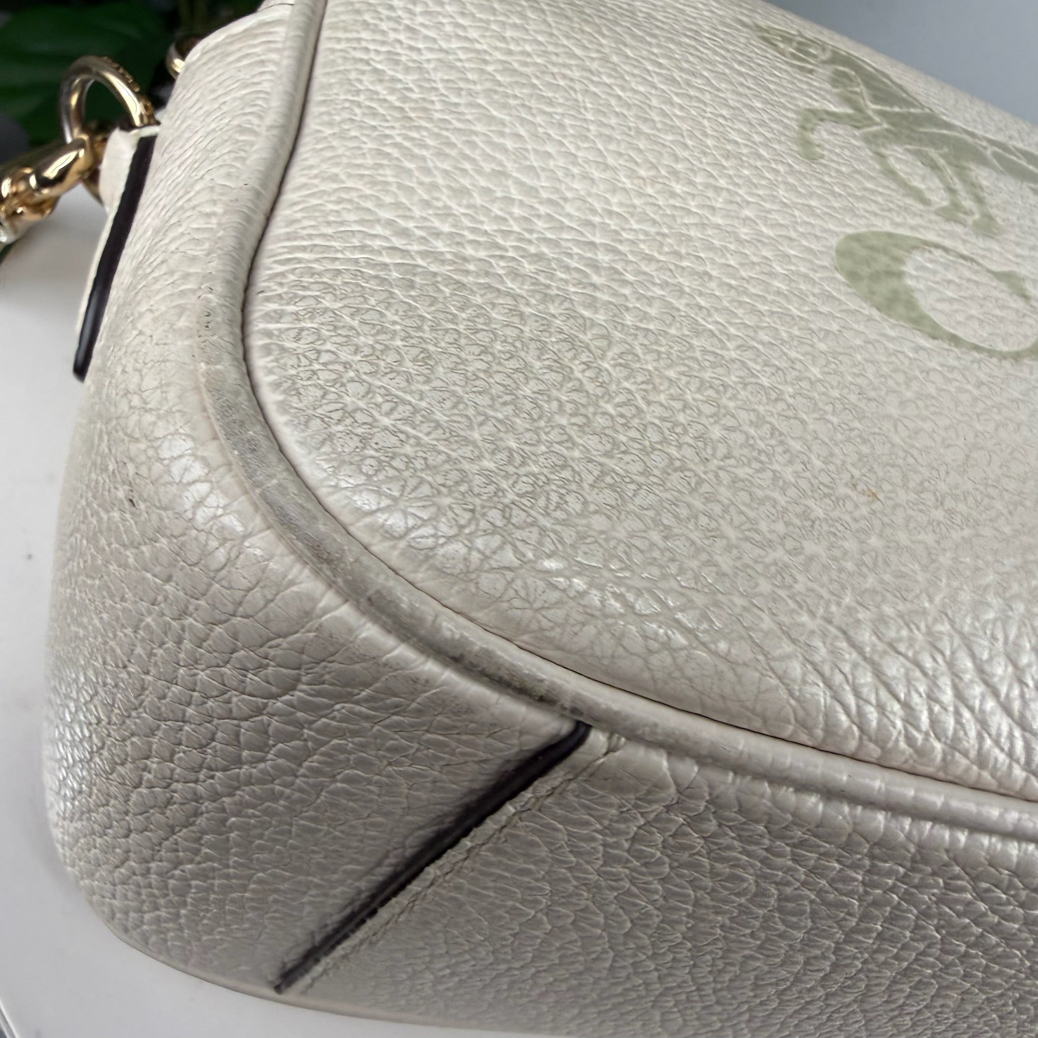 Authentic Coach Horse and Carriage Leather Camera Bag - Cream