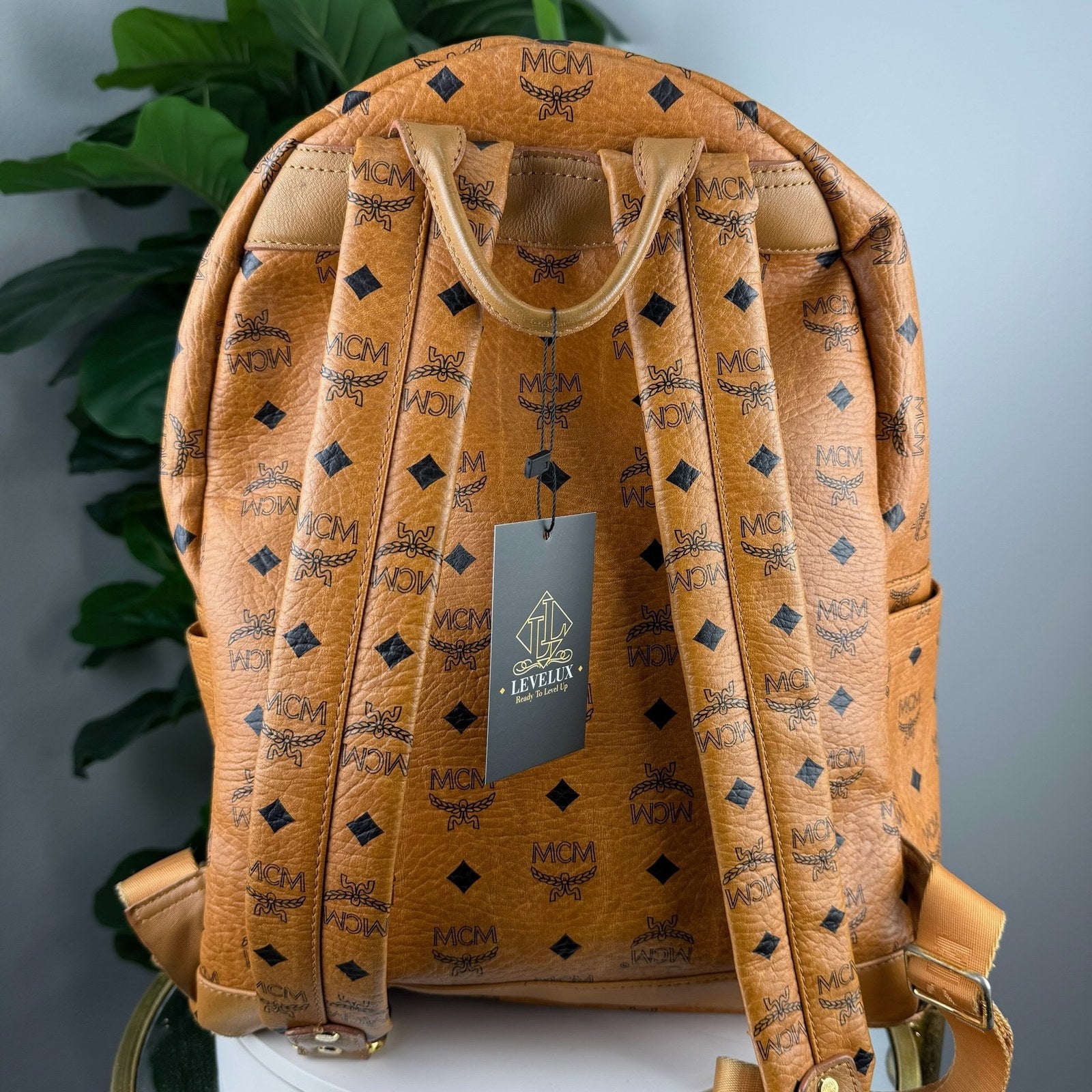 Back with shoulder straps