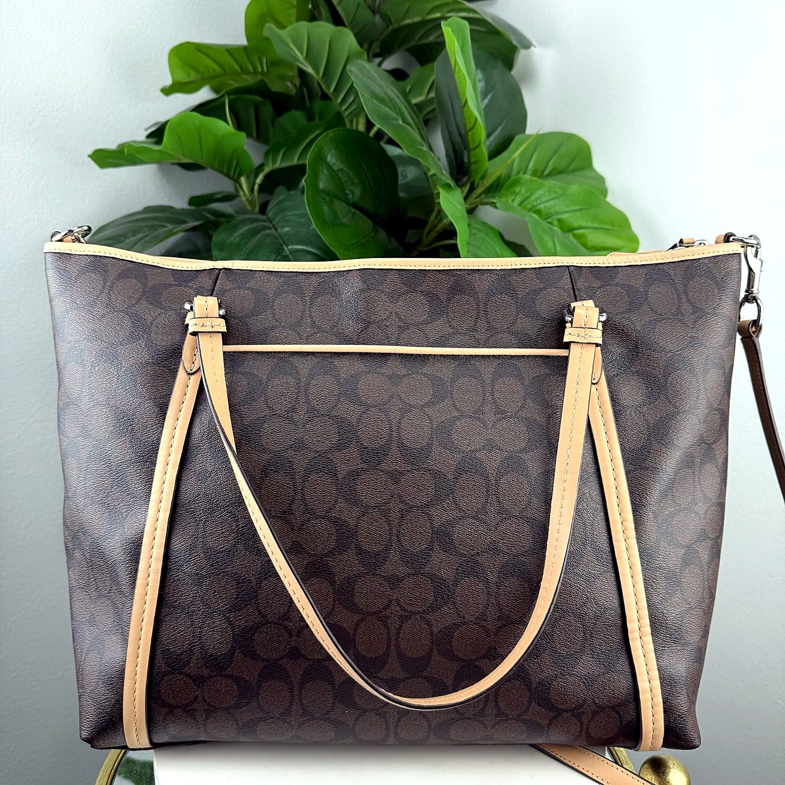 Authentic Coach brown Signature canvas tote bag, back view