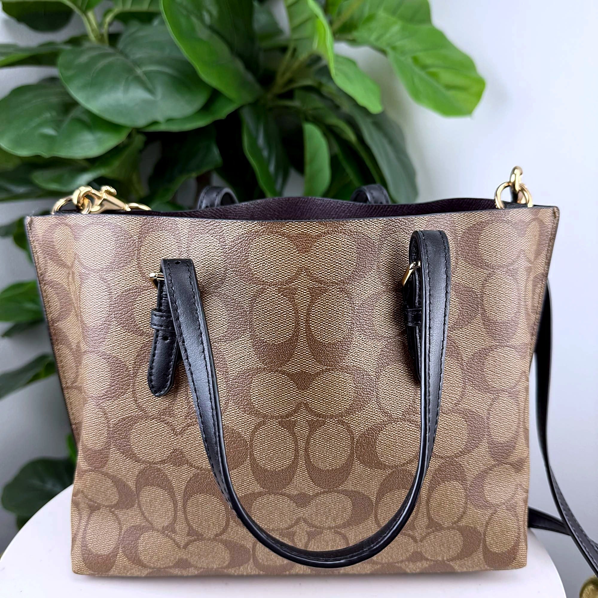 Authentic Coach Signature Tan Canvas Tote Bag - back view