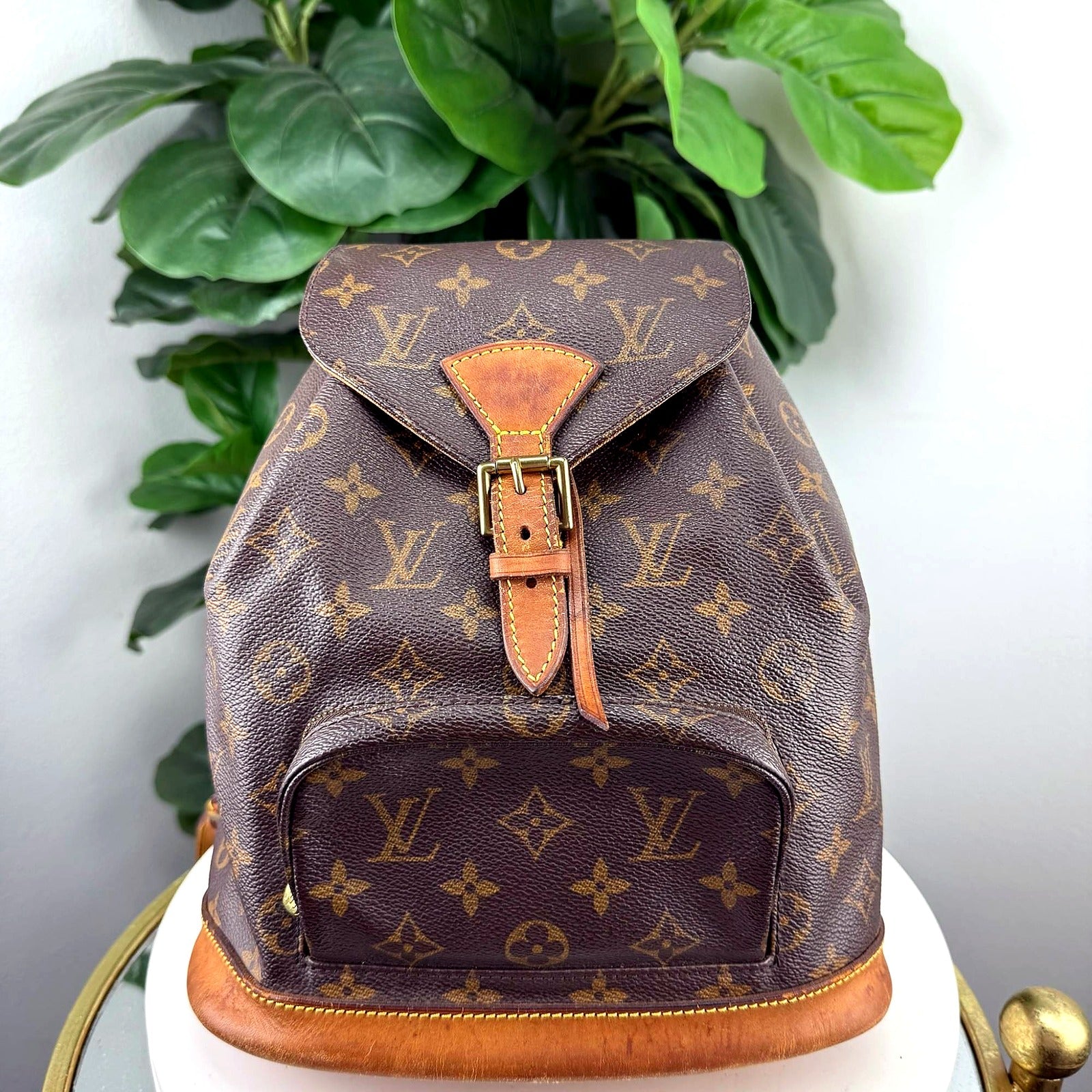 Authentic Louis Vuitton Montsouris Backpack front view