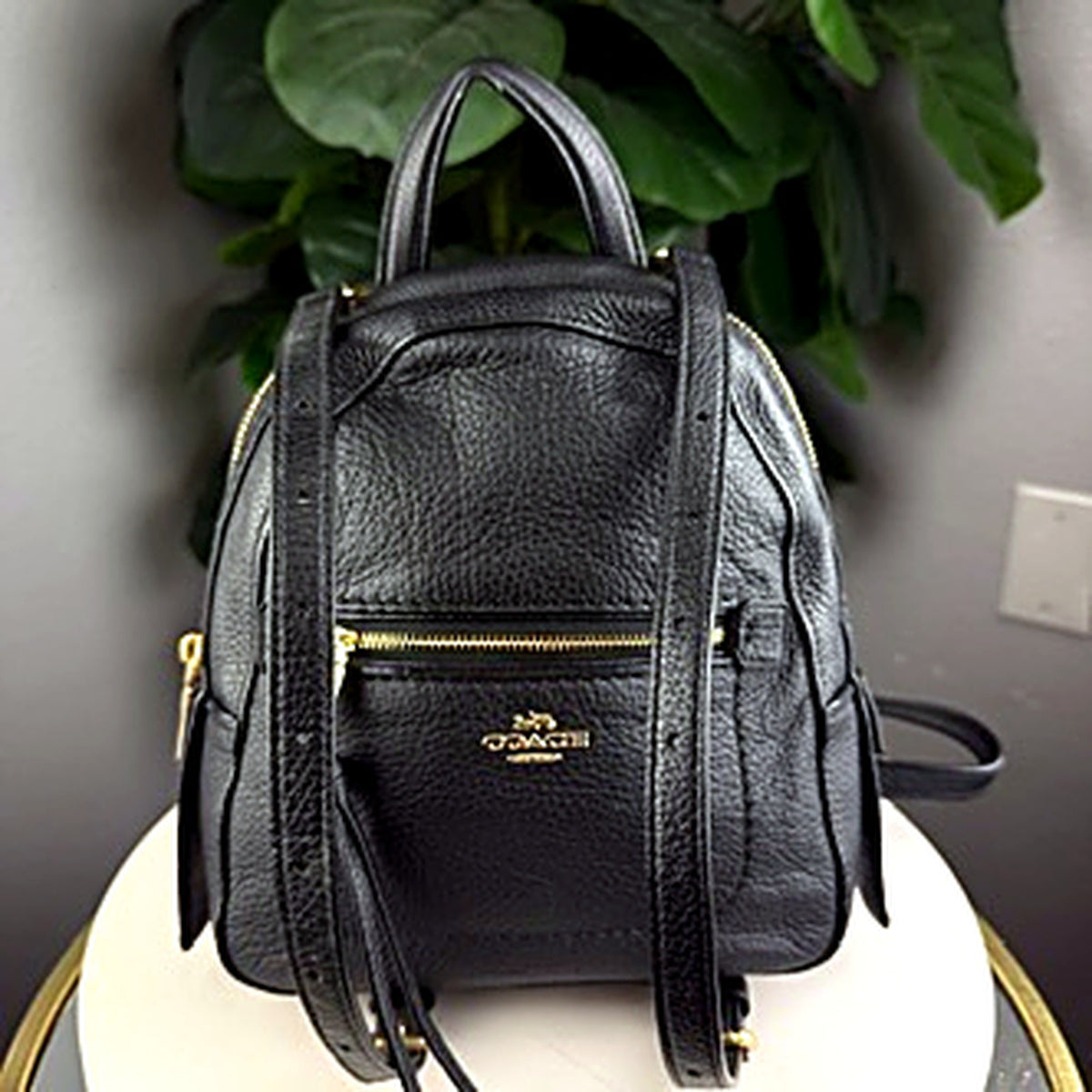 Authentic Coach black pebbled leather mini backpack, front view