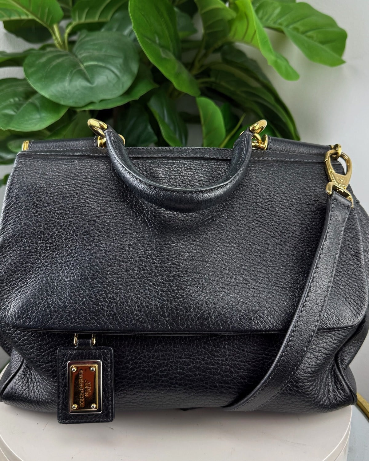 D&G Miss Sicily back