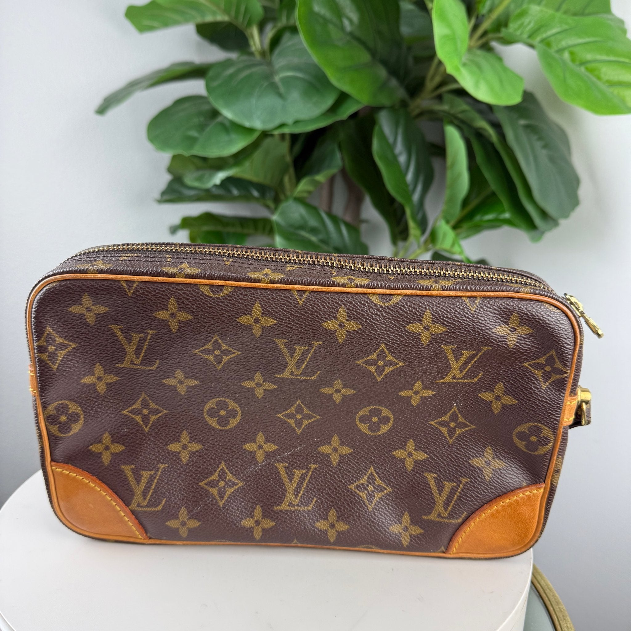 LV Marly Dragonne clutch - front