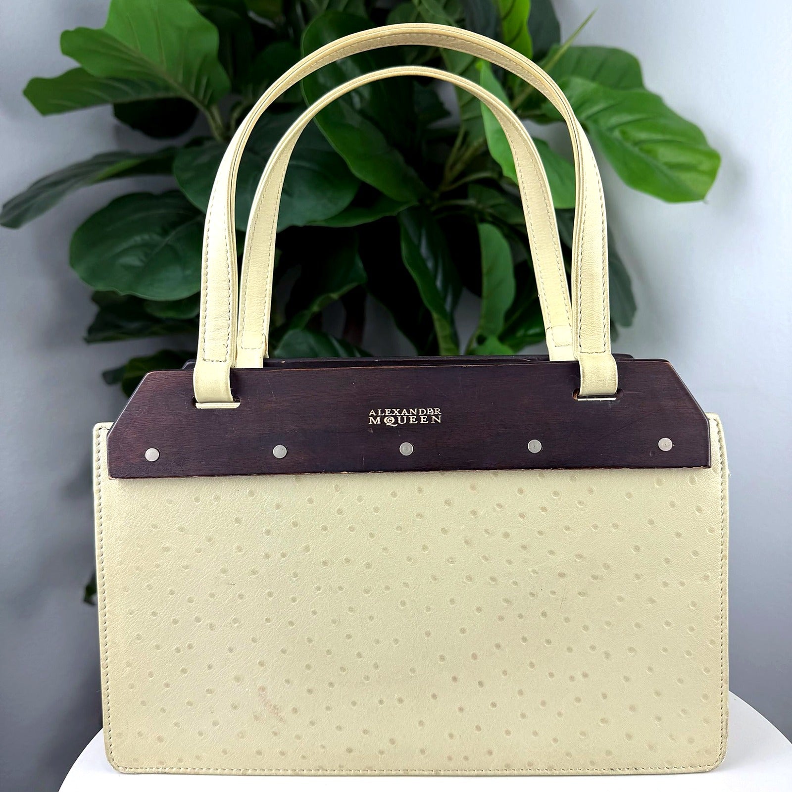 Alexander McQueen ivory ostrich wood-frame bag front